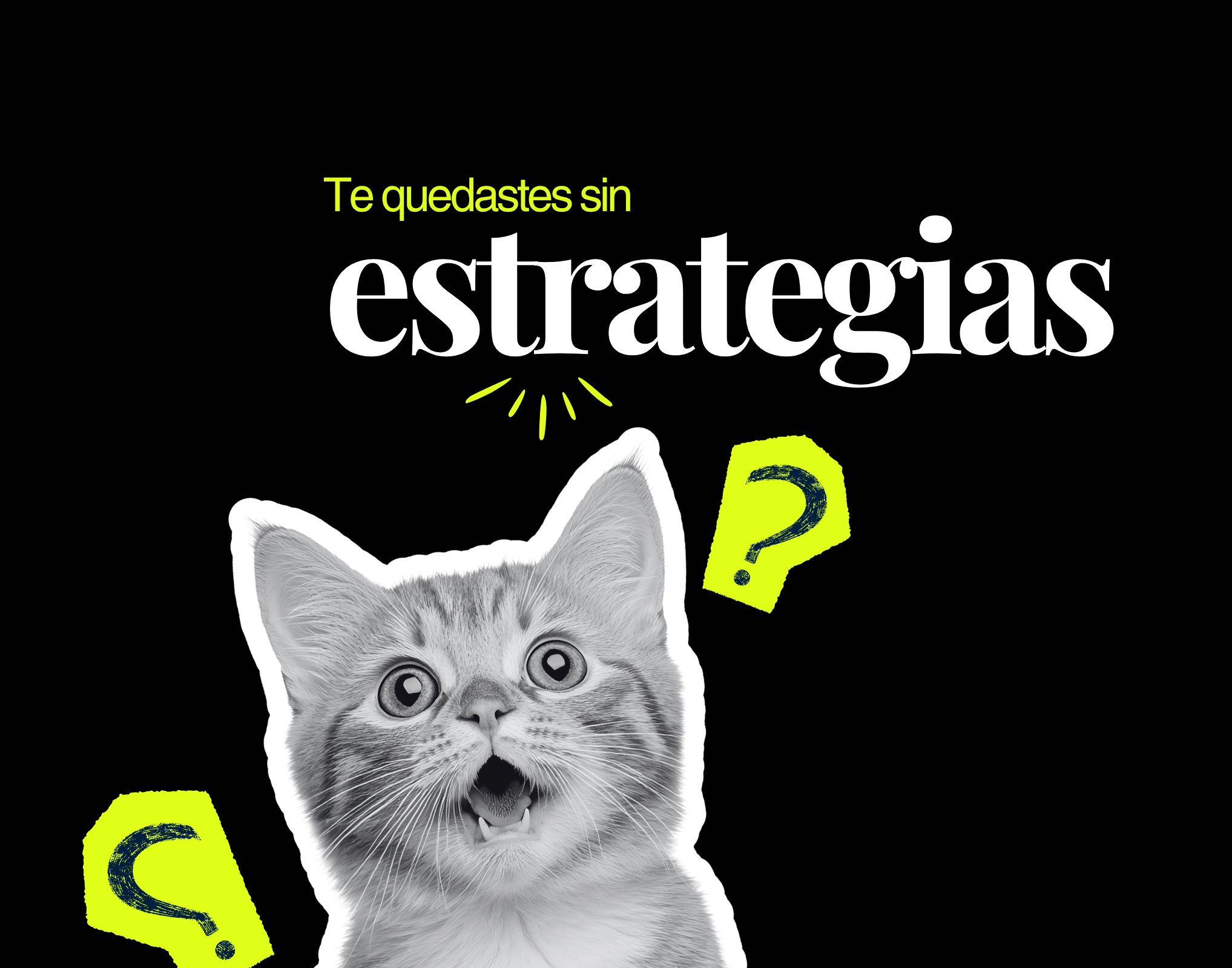 post instagram agencia marketing digital profesional moderno fucsia (640 x 640 px) (1)