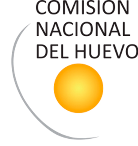 huevo redescubierto 12 ideas 7